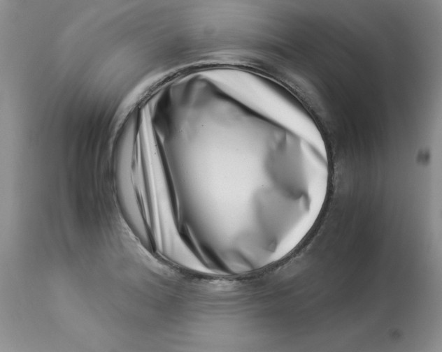 X0000112901180200909181928