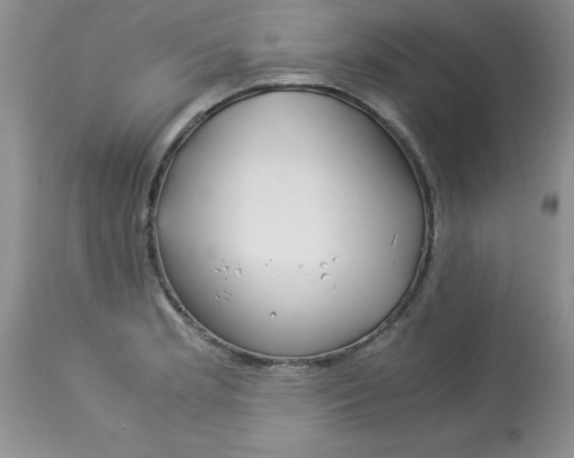X0000112901181200909181928