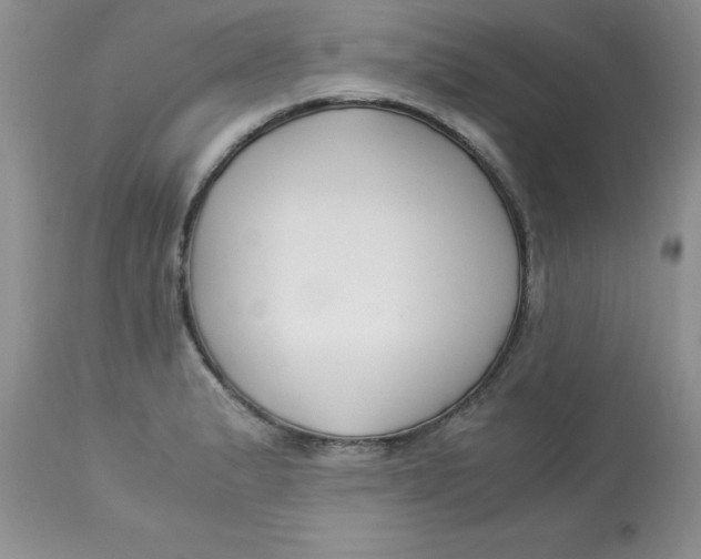 X0000112901183200909181928