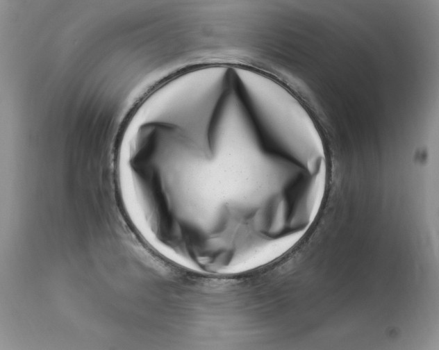 X0000112901184200909181928