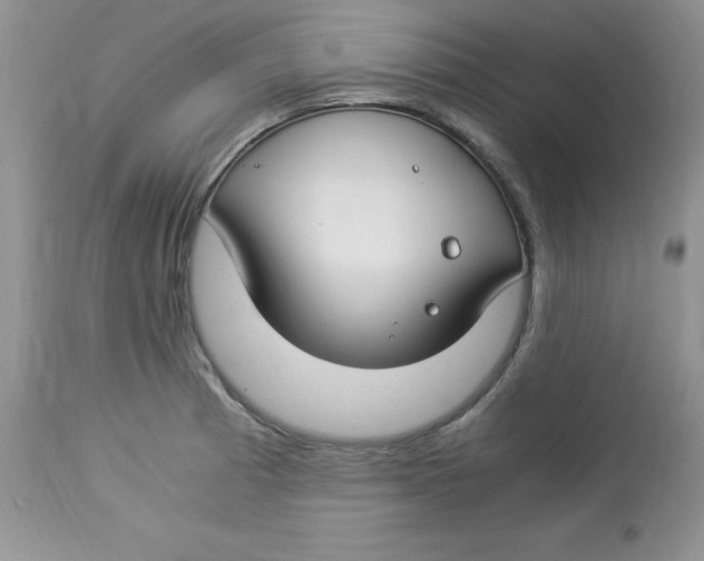 X0000112901185200909181928