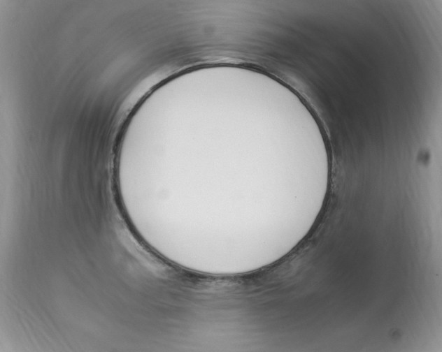 X0000112901187200909181928