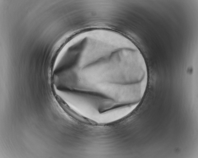 X0000112901188200909181928