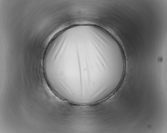 X0000112901189200909181928