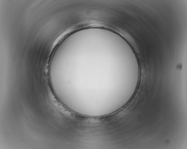 X0000112901190200909181928
