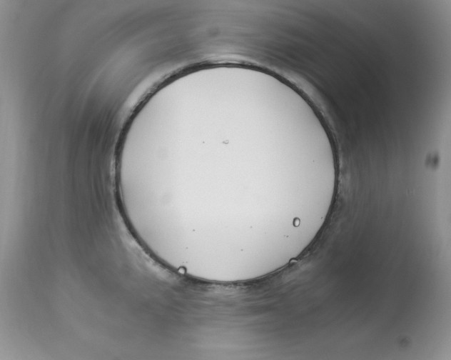 X0000112901191200909181928