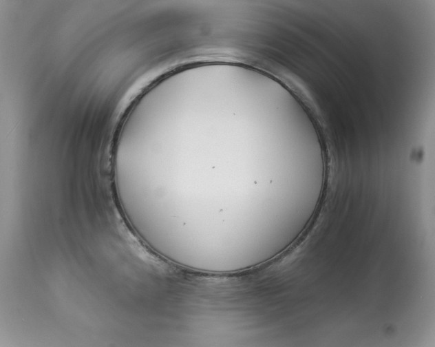 X0000112901192200909181928