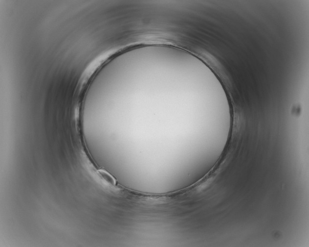 X0000112901196200909181928