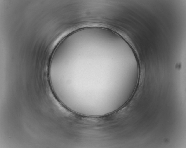 X0000112901197200909181928