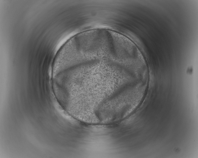 X0000112901198200909181928