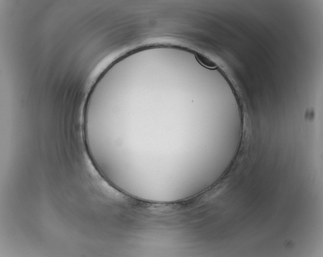 X0000112901199200909181928