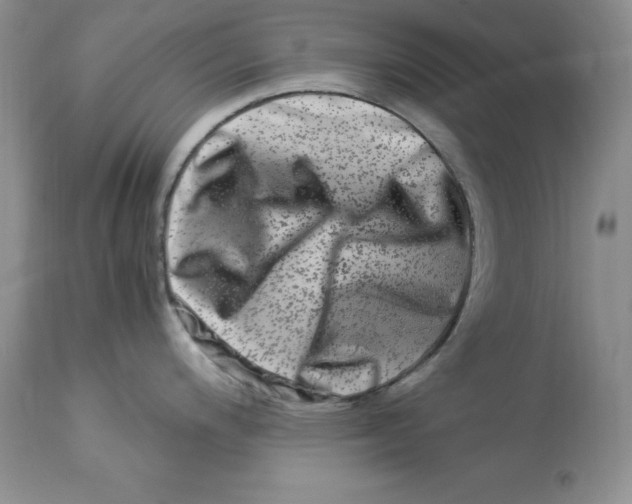 X0000112901200200909181928