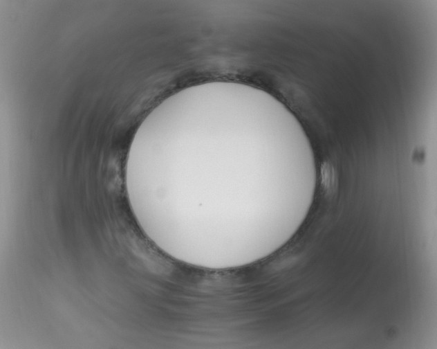 X0000112901203200909181927