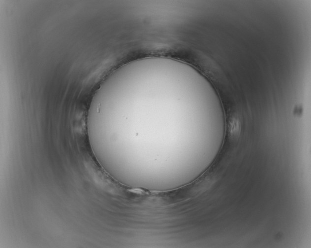 X0000112901204200909181927