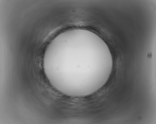 X0000112901205200909181927
