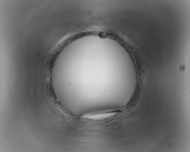 X0000112901206200909181927