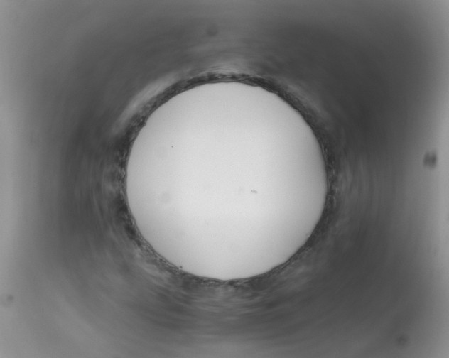 X0000112901207200909181927