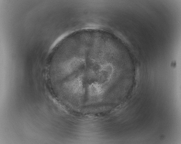 X0000112901208200909181927