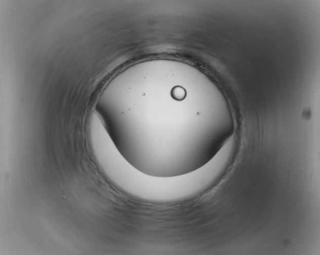 X0000112901209200909181927