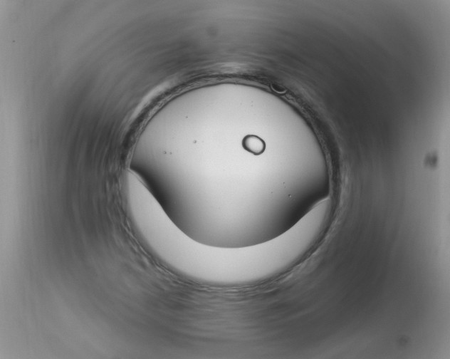 X0000112901210200909181927