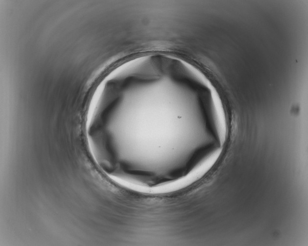 X0000112901212200909181927