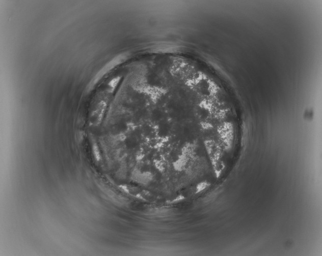 X0000112901213200909181927