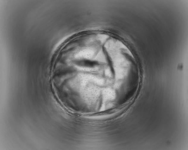 X0000112901216200909181927