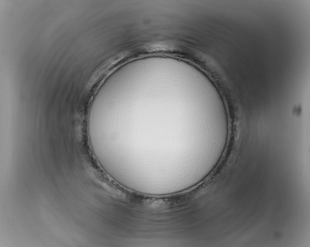 X0000112901217200909181928