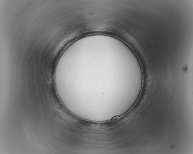 X0000112901218200909181928
