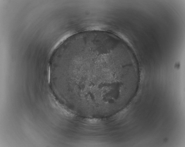 X0000112901219200909181928