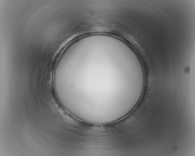 X0000112901220200909181928
