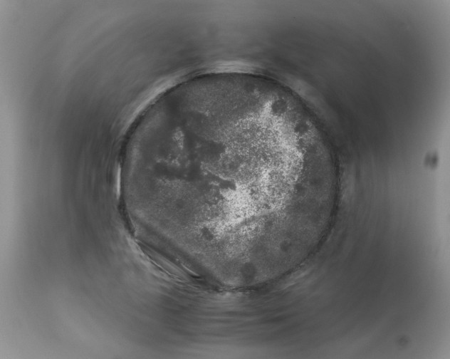 X0000112901221200909181928