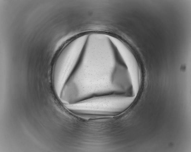 X0000112901222200909181928