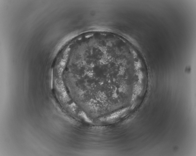 X0000112901223200909181928