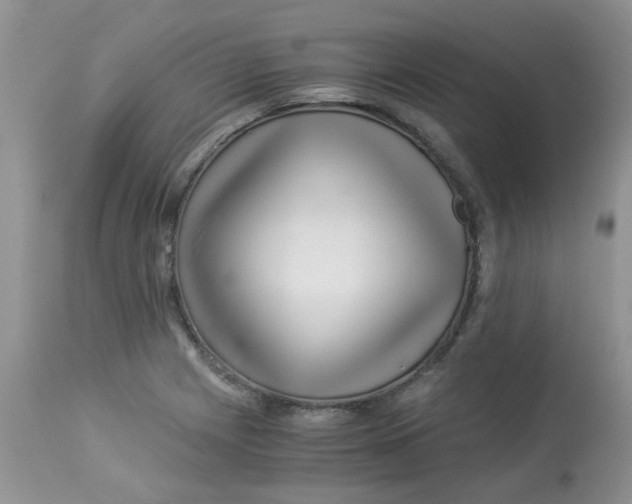 X0000112901225200909181928