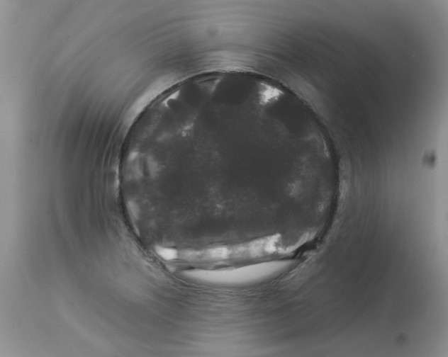 X0000112901226200909181928