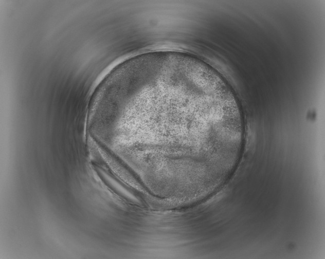 X0000112901228200909181928
