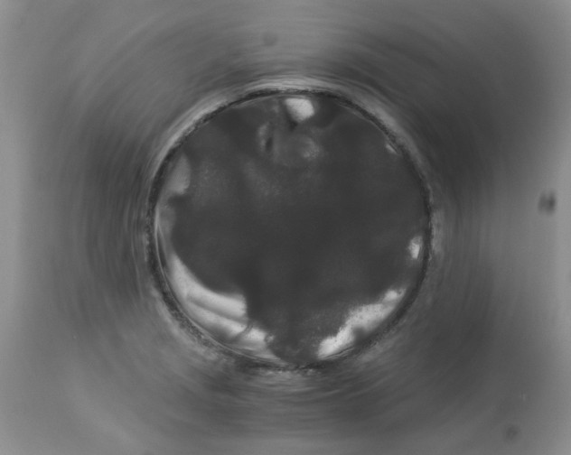 X0000112901229200909181928