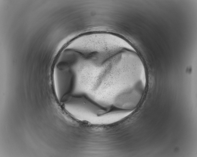 X0000112901230200909181928