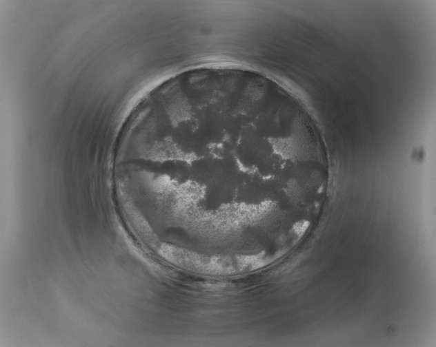 X0000112901231200909181928