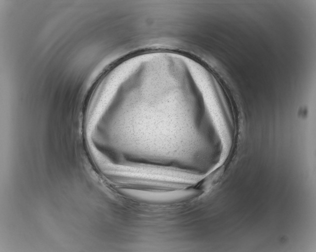 X0000112901232200909181928
