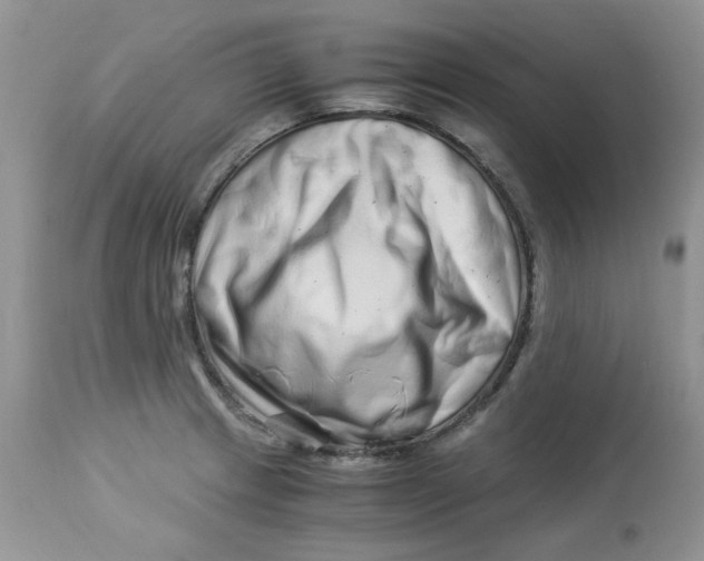 X0000112901233200909181928