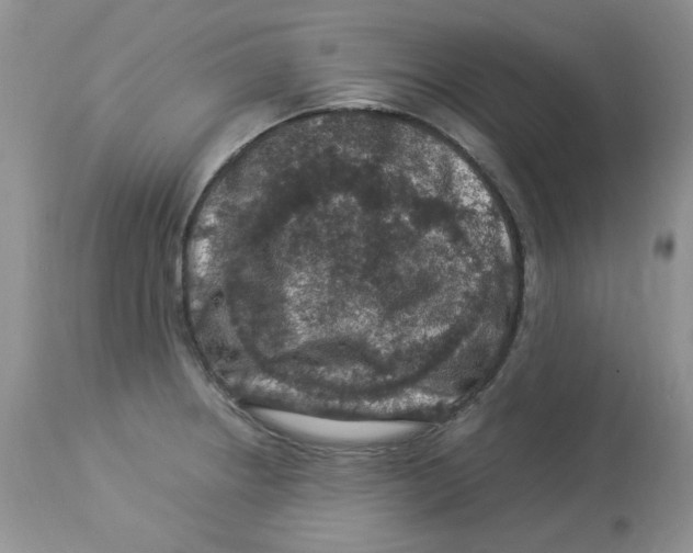 X0000112901234200909181928
