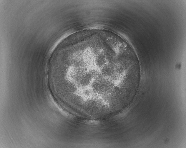 X0000112901235200909181928