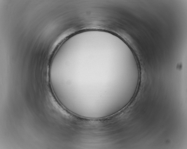 X0000112901238200909181928