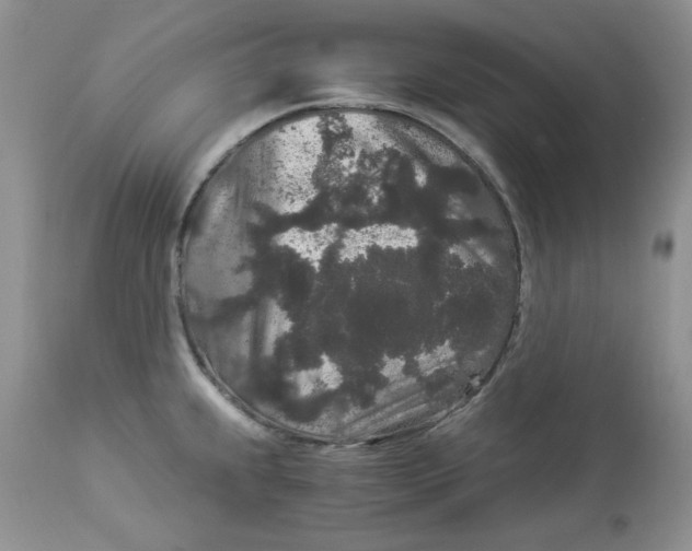 X0000112901239200909181928