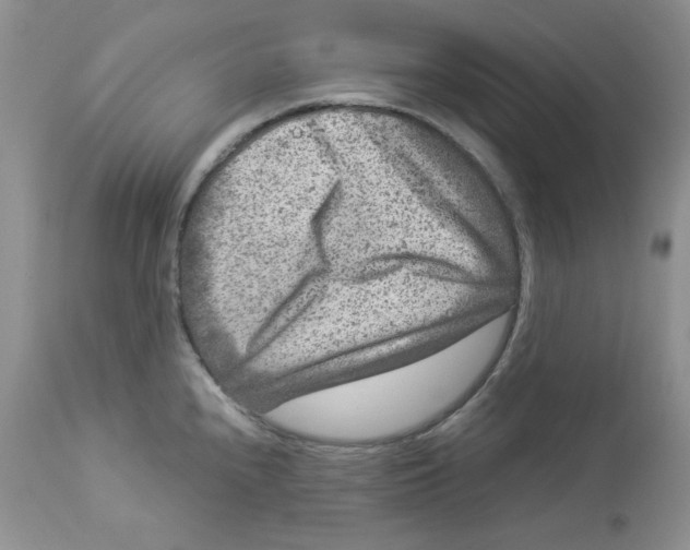 X0000112901240200909181928