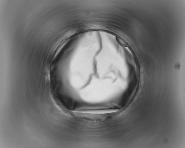 X0000112901241200909181928