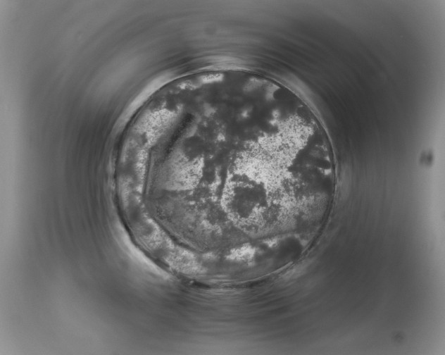 X0000112901243200909181928