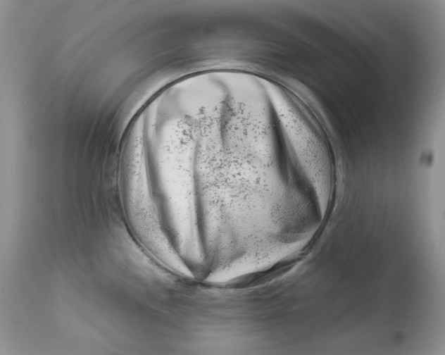 X0000112901244200909181928